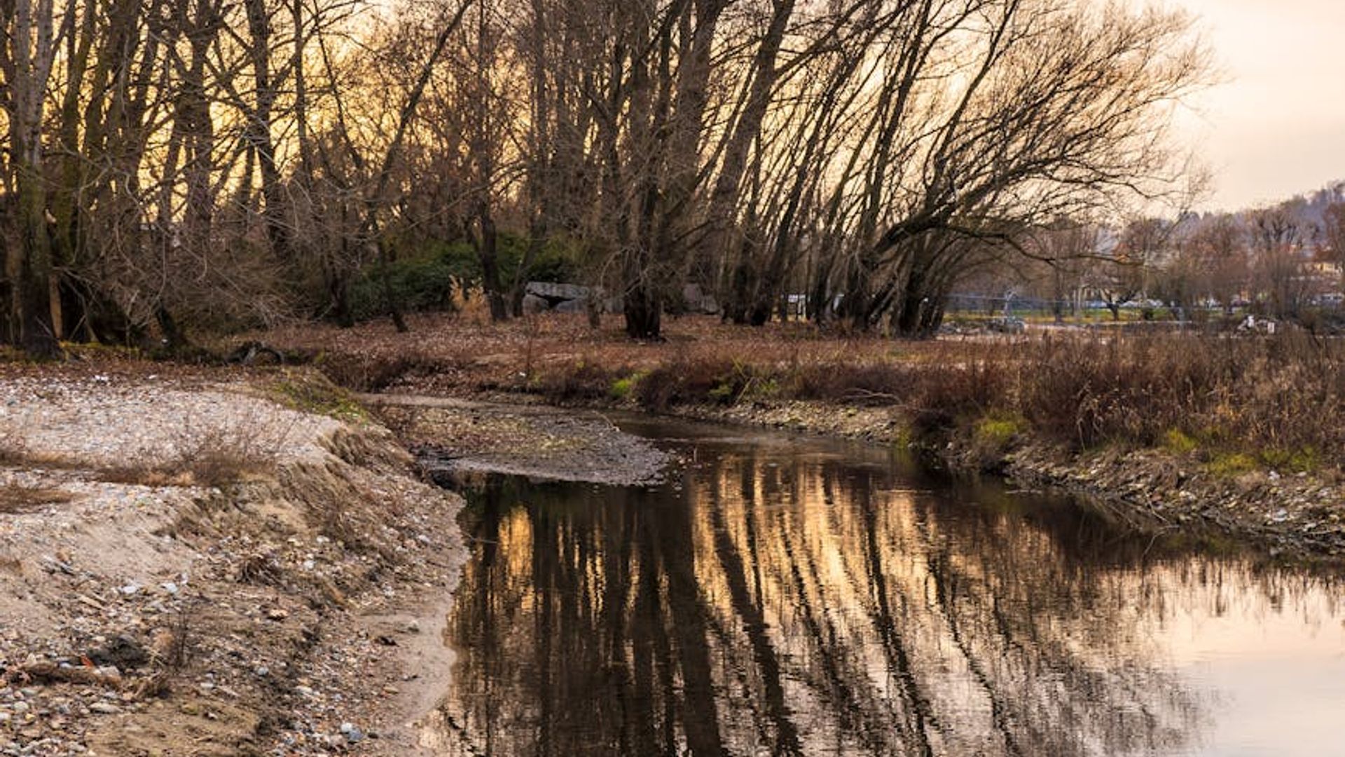 Calm and serene nature landscape representing harmony and peace.